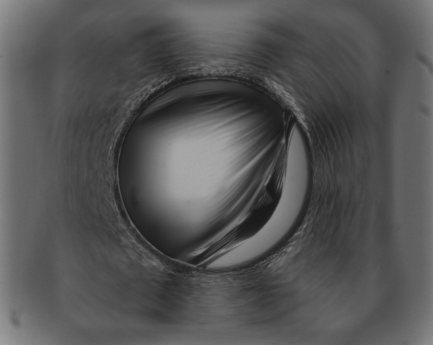 X0000091170673200709060934