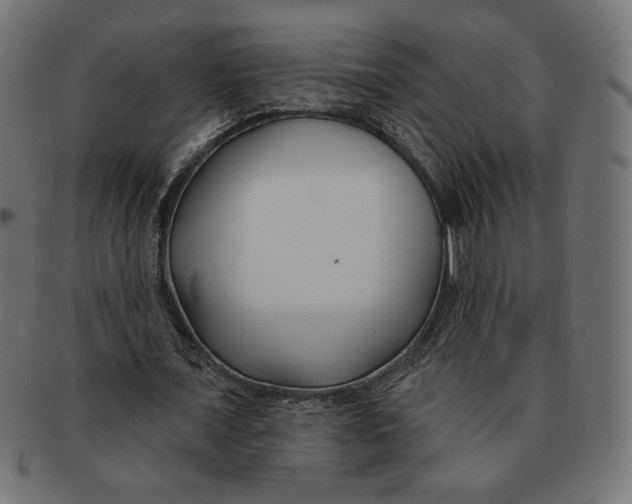 X0000091170675200709060934