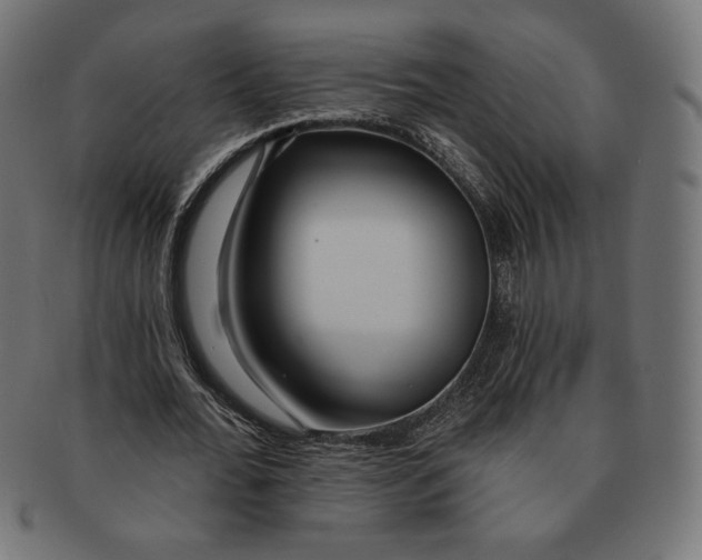 X0000091170676200709060934