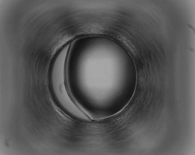 X0000091170677200709060934