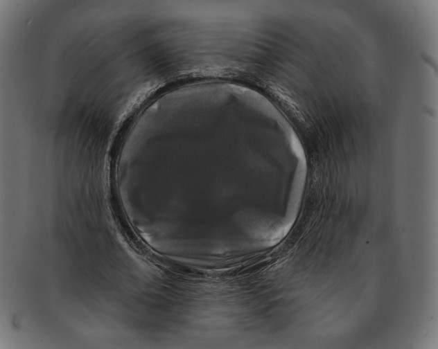 X0000091170678200709060934