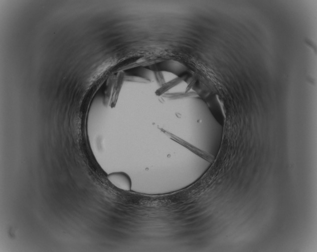 X0000091170679200709060934