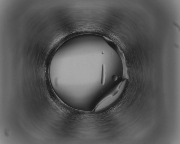 X0000091170680200709060934