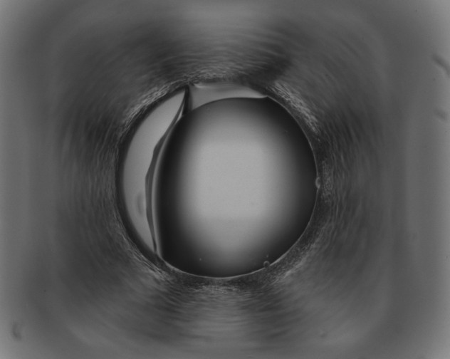 X0000091170681200709060934