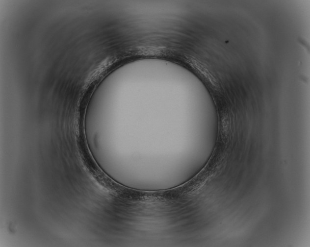X0000091170682200709060934