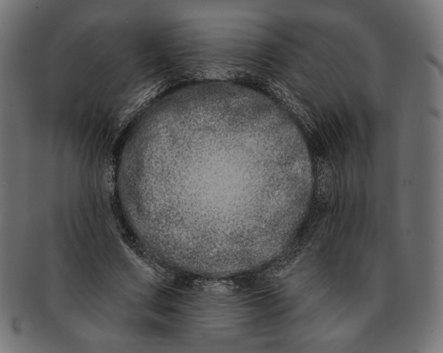 X0000091170683200709060934