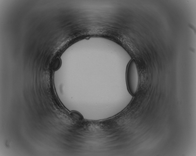 X0000091170684200709060934
