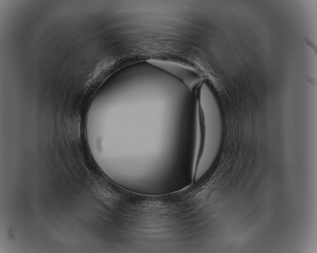 X0000091170685200709060934