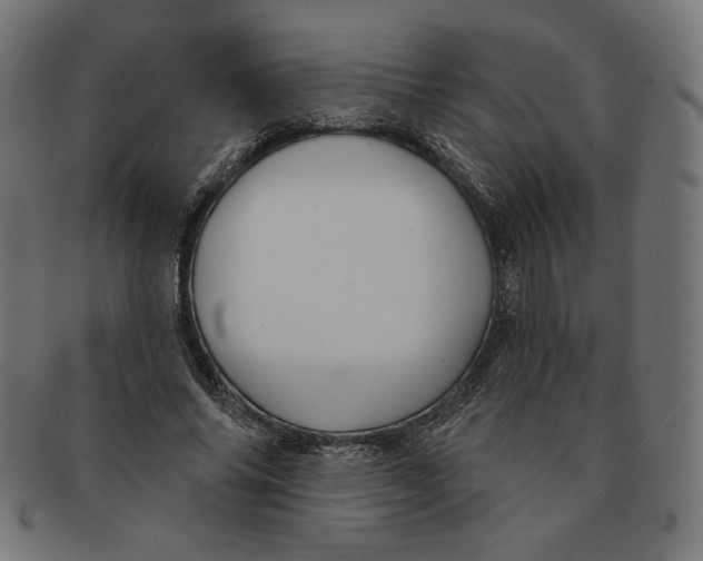 X0000091170686200709060934