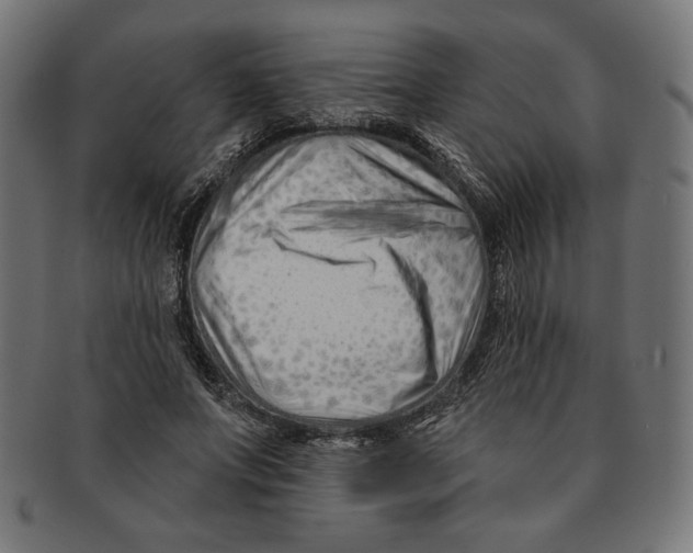 X0000091170687200709060934