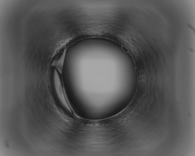 X0000091170688200709060934