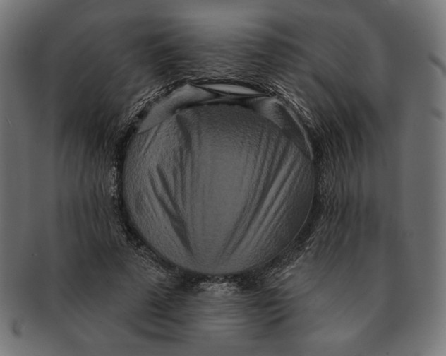 X0000091170689200709060934