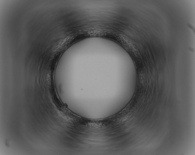 X0000091170690200709060934