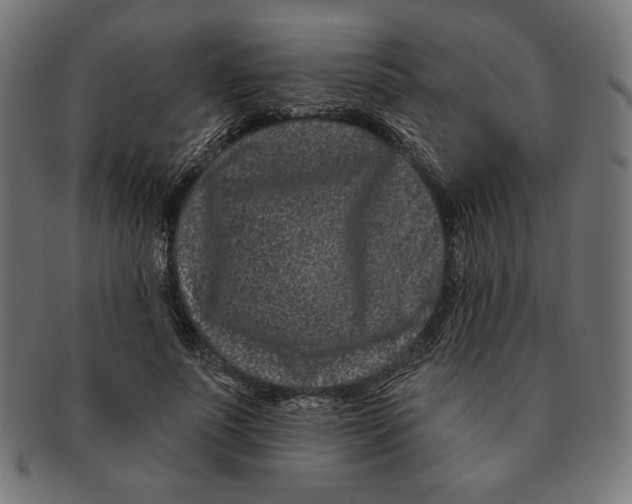 X0000091170691200709060934