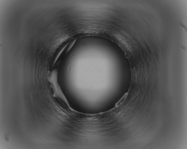 X0000091170692200709060934