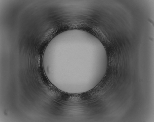X0000091170694200709060934
