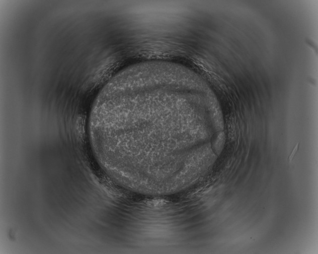 X0000091170695200709060934