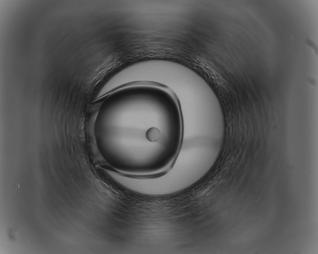 X0000091170696200709060934