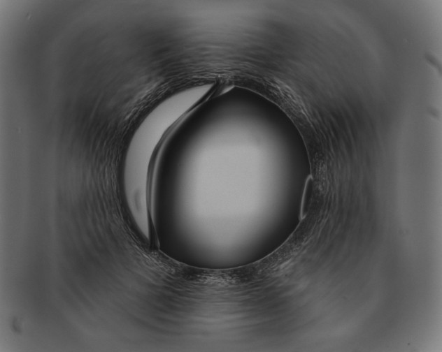 X0000091170697200709060934