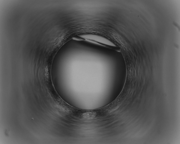 X0000091170700200709060934