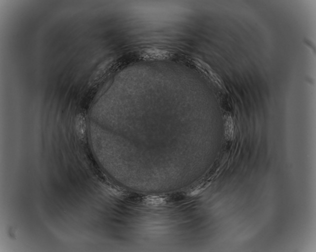 X0000091170701200709060934
