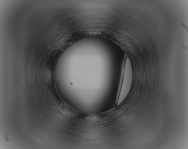 X0000091170704200709060934