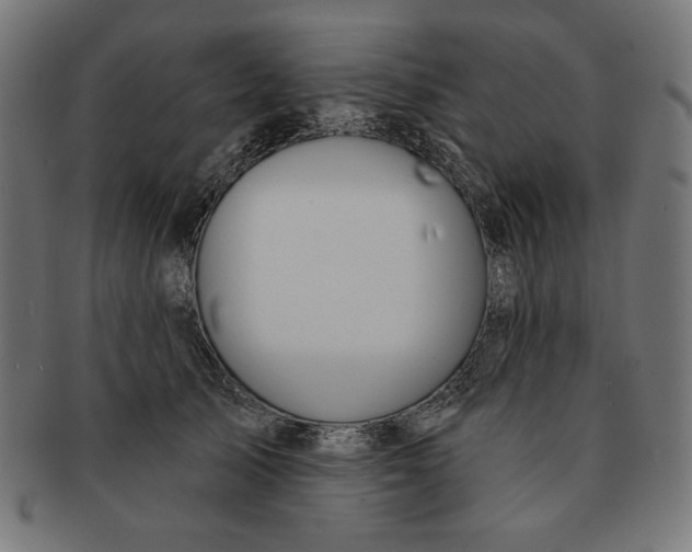 X0000091170705200709060934