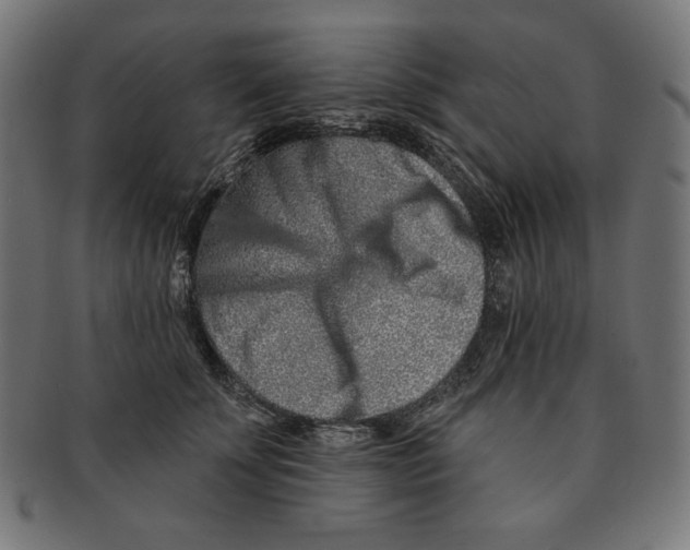 X0000091170707200709060934