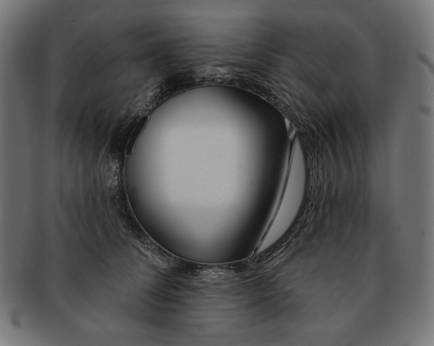 X0000091170708200709060934