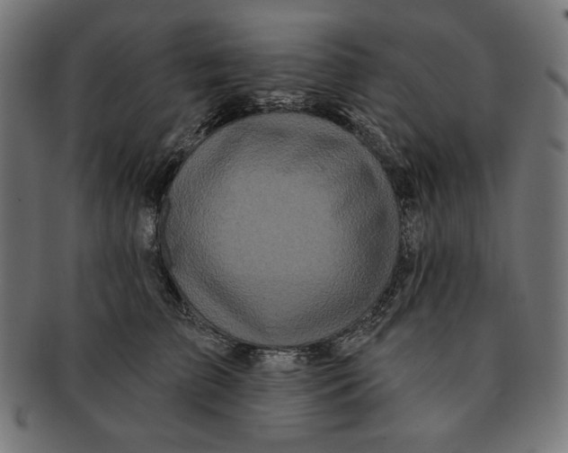 X0000091170709200709060934