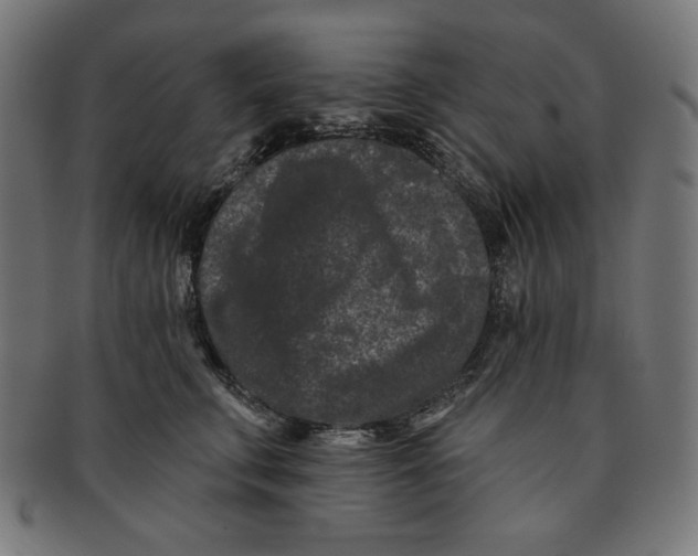 X0000091170711200709060934