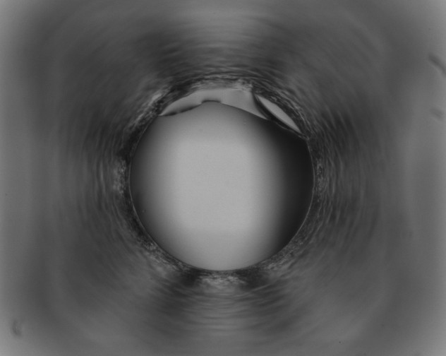 X0000091170712200709060934