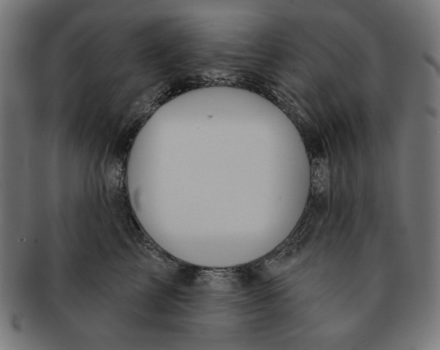 X0000091170713200709060934