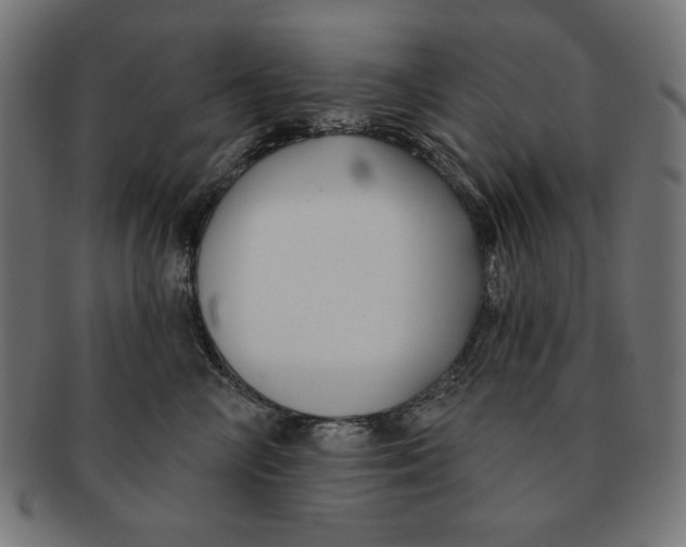 X0000091170714200709060934