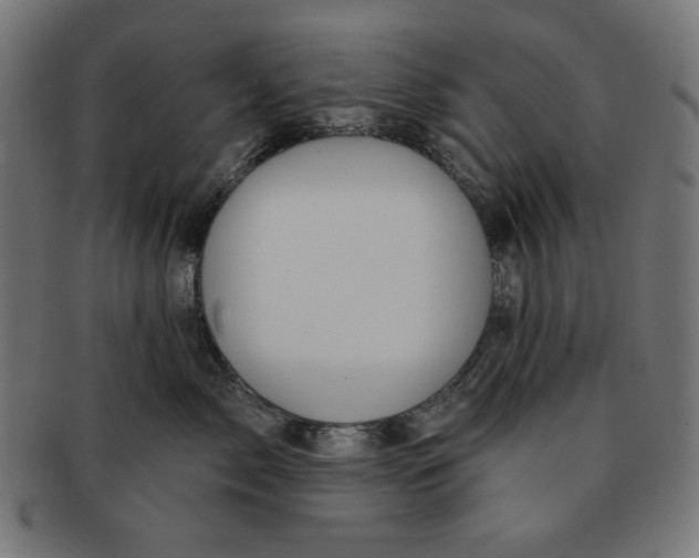 X0000091170717200709060934