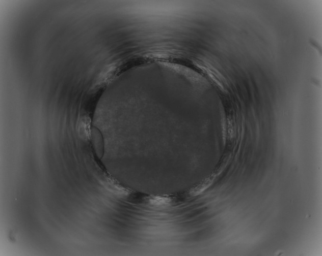 X0000091170718200709060934