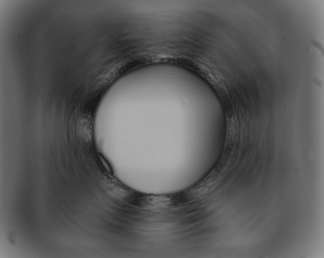 X0000091170719200709060934