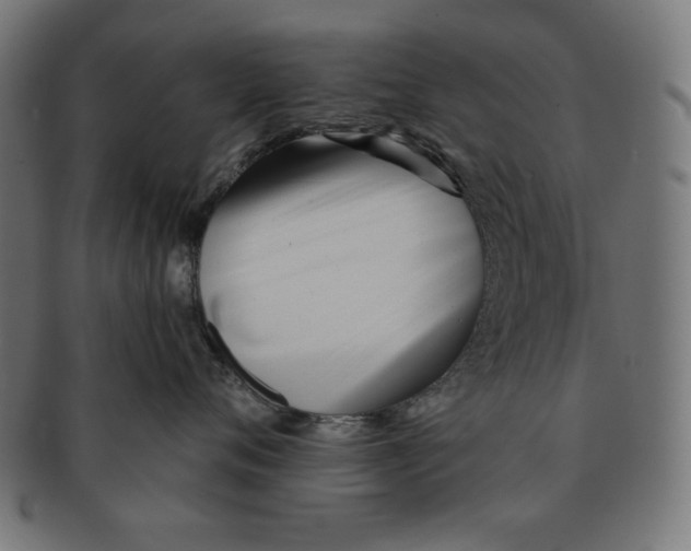 X0000091170720200709060934