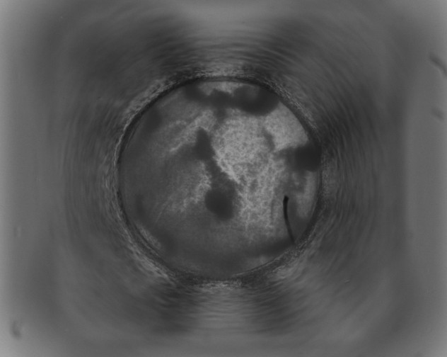 X0000091170721200709060933