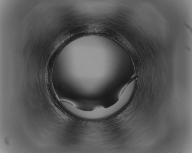 X0000091170722200709060933