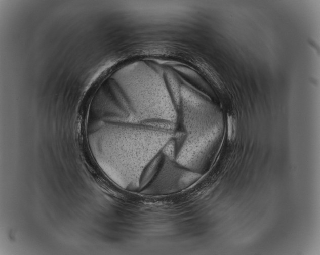 X0000091170723200709060933