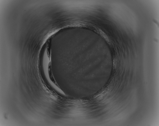 X0000091170724200709060933