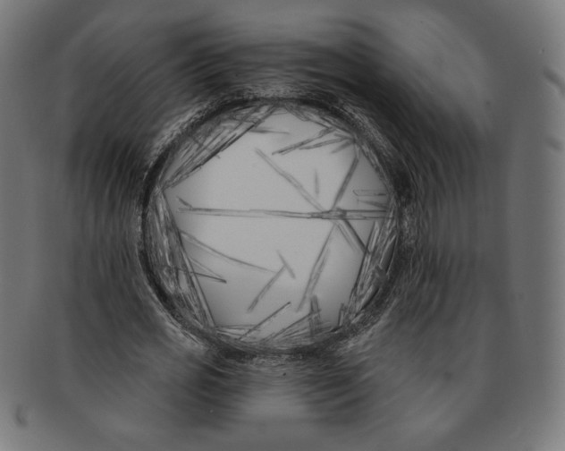 X0000091170725200709060933