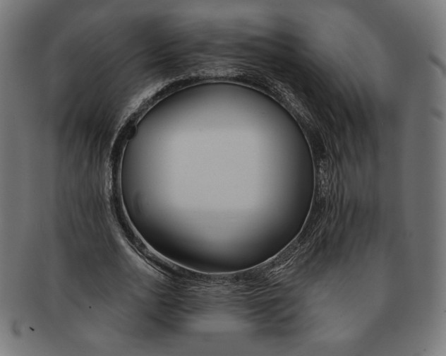X0000091170726200709060933