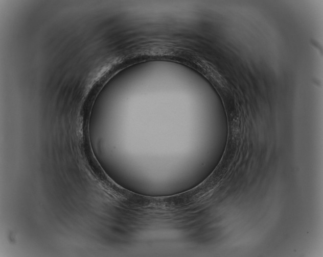 X0000091170727200709060933