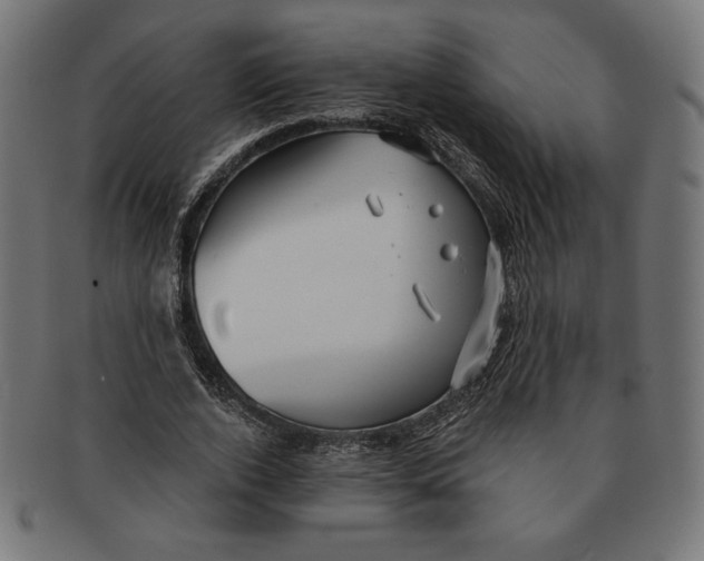 X0000091170728200709060933