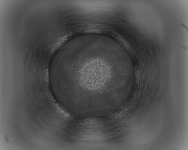 X0000091170729200709060933