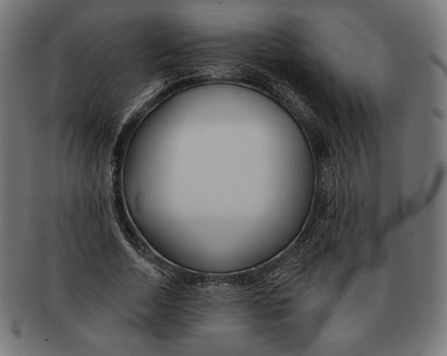 X0000091170730200709060933