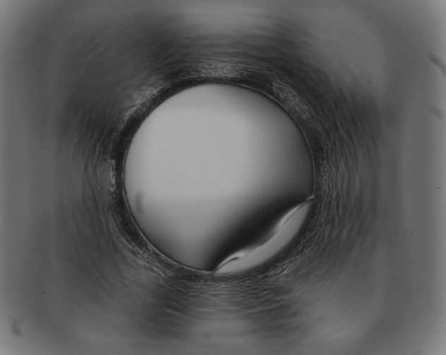 X0000091170731200709060933