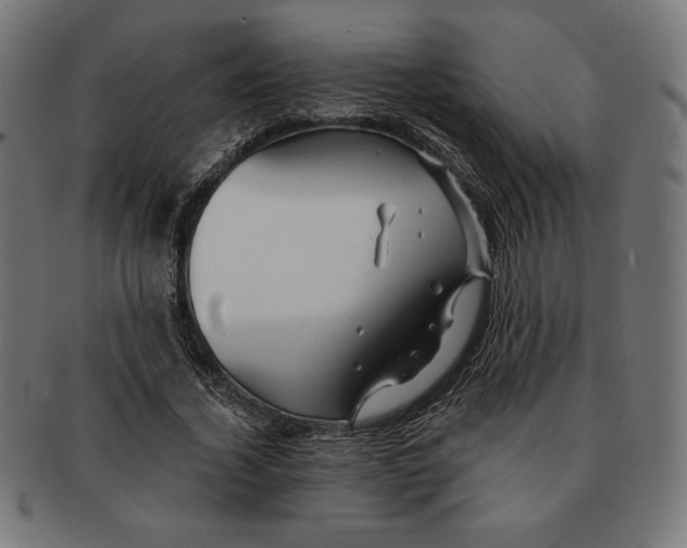 X0000091170732200709060933
